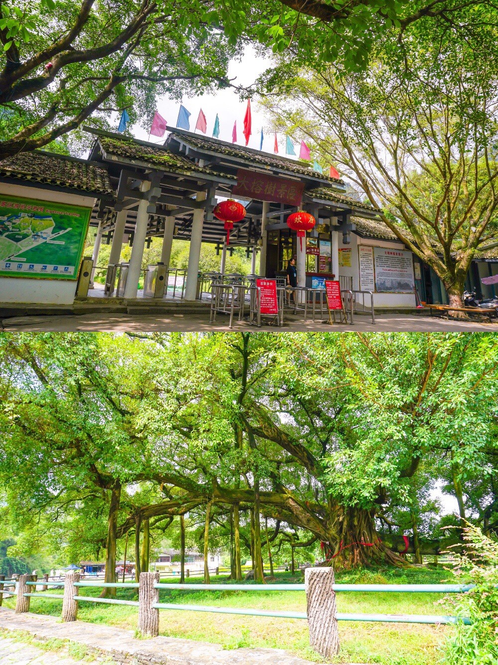 桂林漓江游船攻略_桂林漓江游船_桂林攻略游船漓江路线