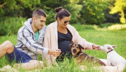 怀孕猫能养吗_怀孕可以养猫吗_猫孕妇能养猫吗