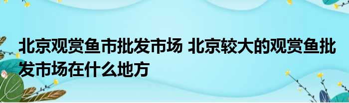 批发观赏鱼网站推荐_批发观赏鱼的网站_观赏鱼批发网站