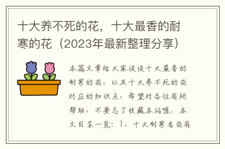 十大养不死的花，十大最香的耐寒的花（2023年最新整理分享）