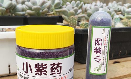 多肉长白虫子用什么药效果好_多肉长白虫_多肉植物白虫子