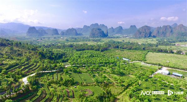 仙湖旅游度假区_仙湖度假区有什么玩的_仙湖度假区游玩攻略