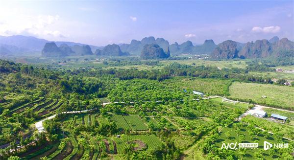 仙湖旅游度假区_仙湖度假区有什么玩的_仙湖度假区游玩攻略