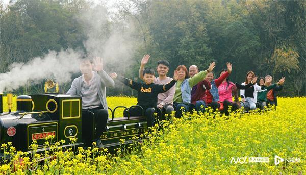 仙湖度假区有什么玩的_仙湖旅游度假区_仙湖度假区游玩攻略