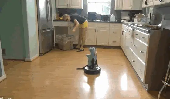 猫沐浴露可以用人的吗_人洗澡的沐浴露能给猫洗吗_猫咪可以用人的沐浴露洗澡吗