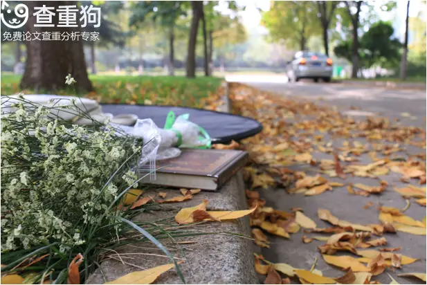 毕业论文选题来源怎么填_毕业论文选题来源怎么写_毕业论文论题来源