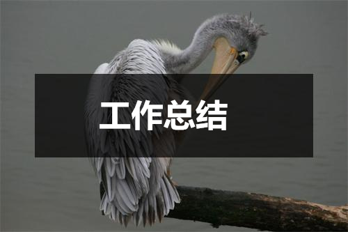 大学学生会办公室工作总结怎么写及范文四篇