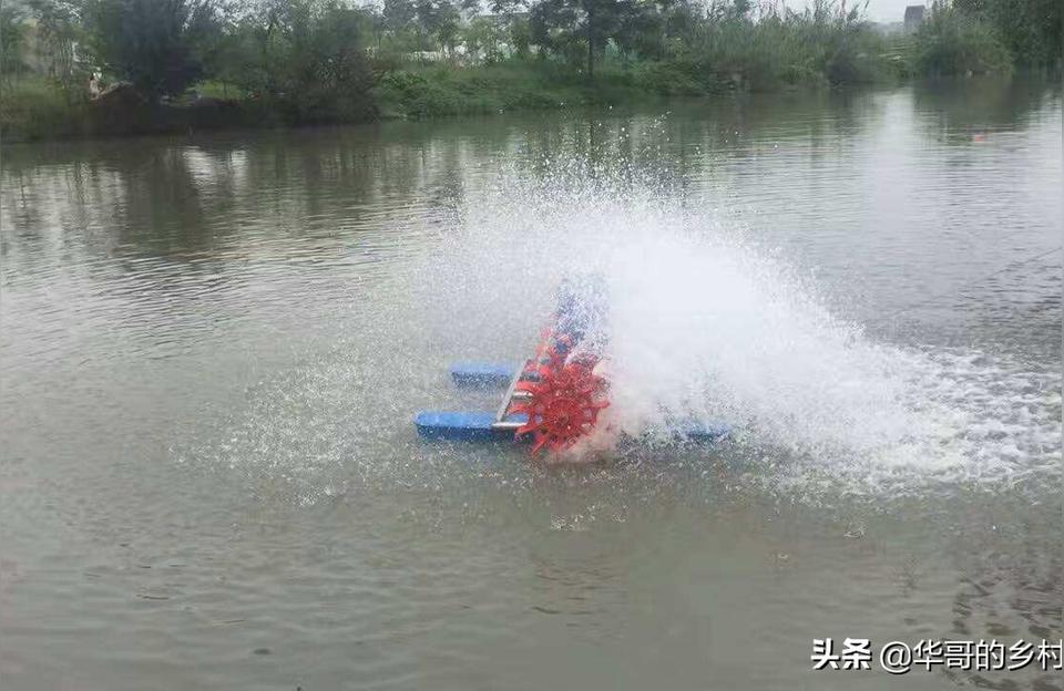 延安鱼池水泵设备:沼泽过滤鱼池怎么选择水泵