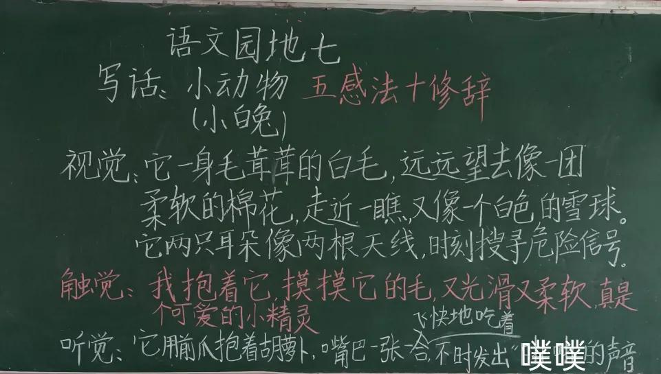 二年级语文下七单元写小动物，用五感法加修辞，分分钟写满200字