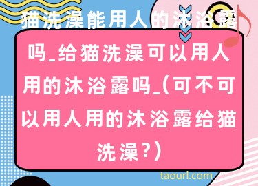 猫洗澡能用人的沐浴露吗-给猫洗澡可以用人用的沐浴露吗-(可不可以用人用的沐浴露给猫洗澡？)