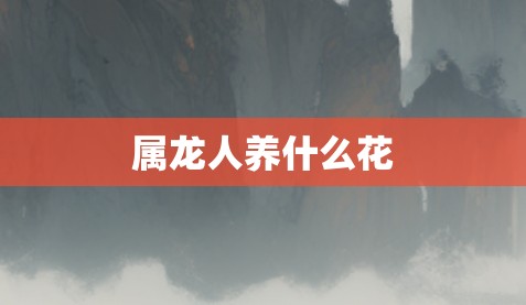 属龙人养什么花