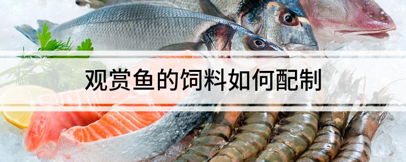 观赏鱼的饲料如何配制
