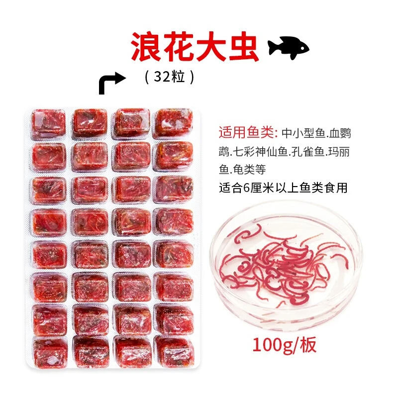 观赏鱼和虾哪个好养_养虾观赏_养虾养鱼