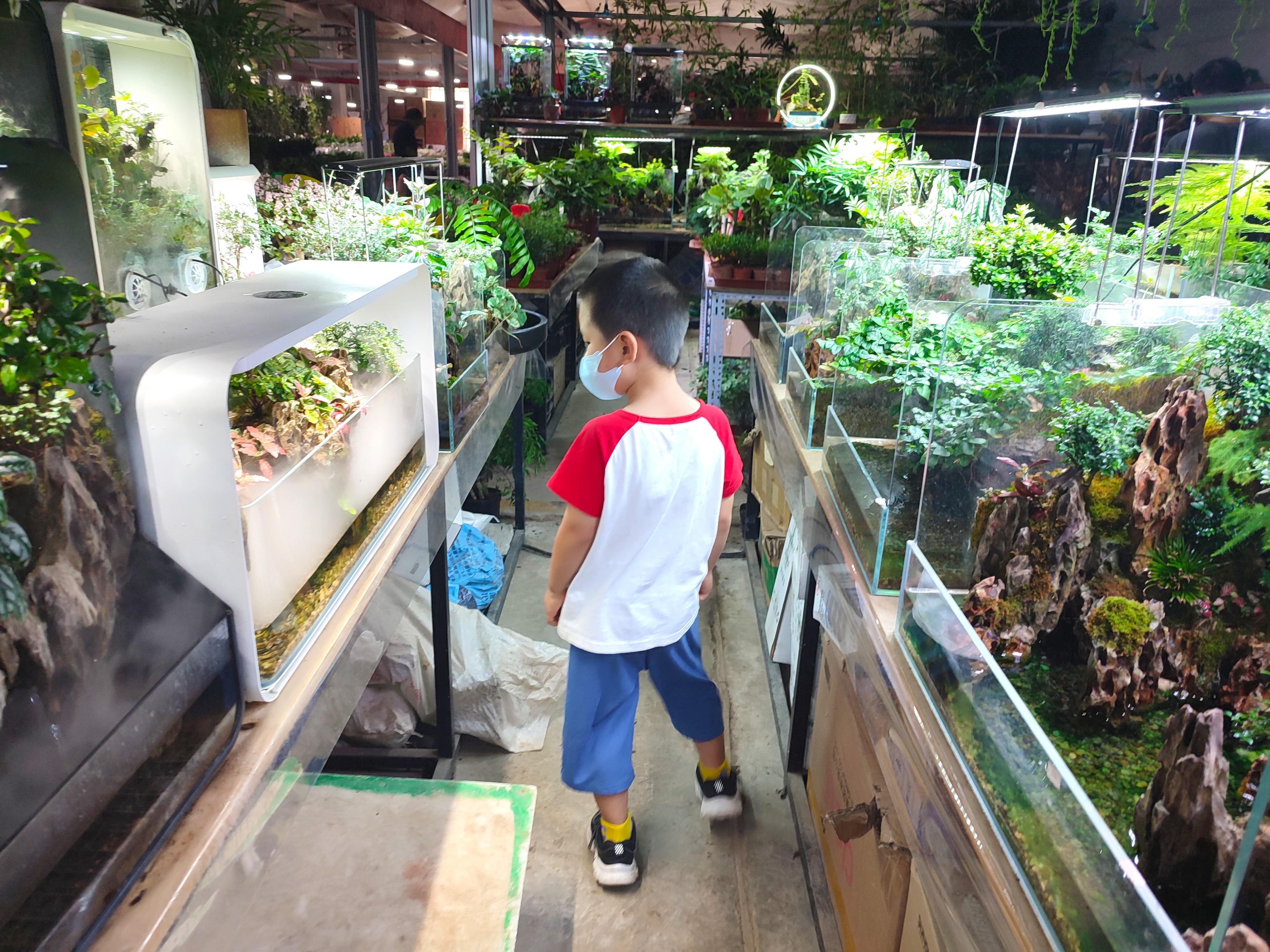 北京卖观赏鱼的市场_北京观赏鱼批发市场在哪里_批发观赏鱼北京市场地址