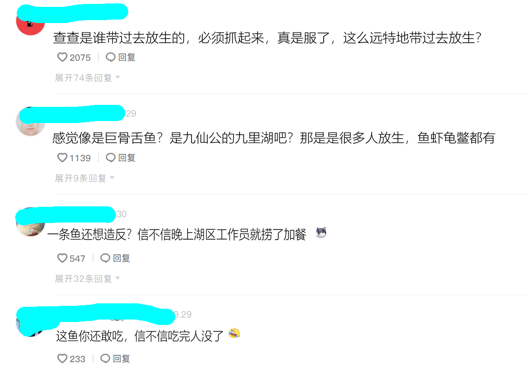 观赏肉食鱼大全_观赏肉食鱼有哪些品种_肉食的观赏鱼